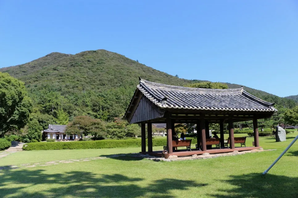 %EA%BE%B8%EB%AF%B8%EA%B8%B0IMG_7077.JPG?type=w966