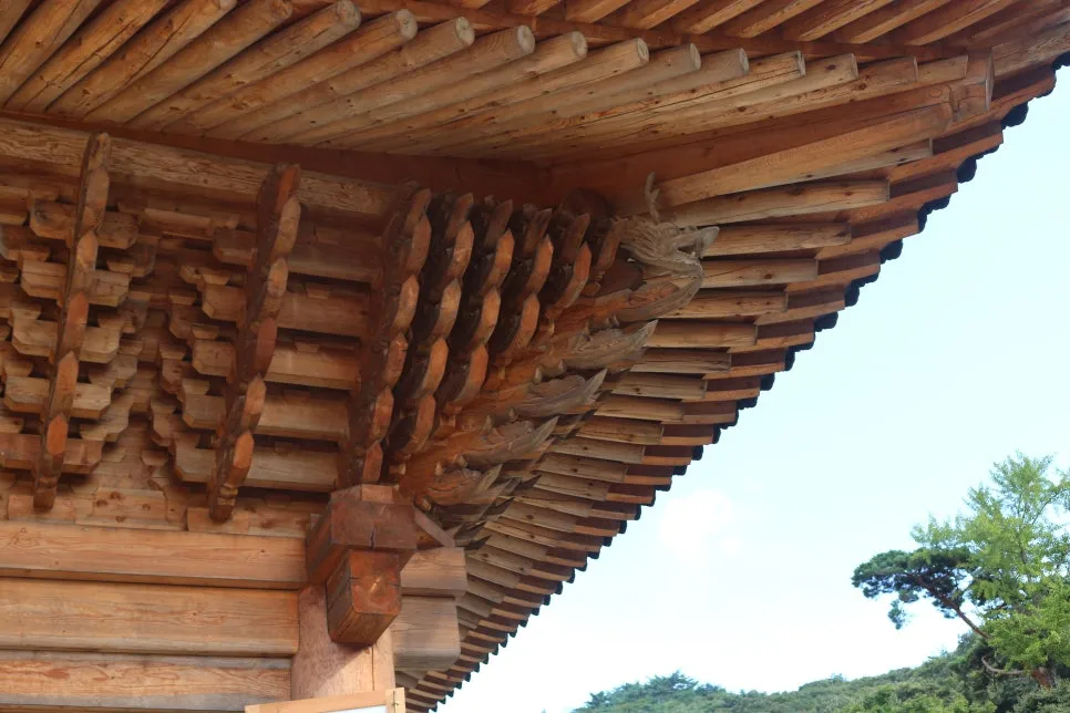 %EA%BE%B8%EB%AF%B8%EA%B8%B0IMG_6714.JPG?type=w966