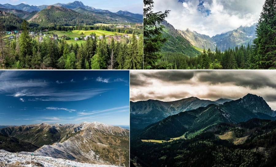 %EC%9E%90%EC%BD%94%ED%8C%8C%EB%84%A43.png?type=w966