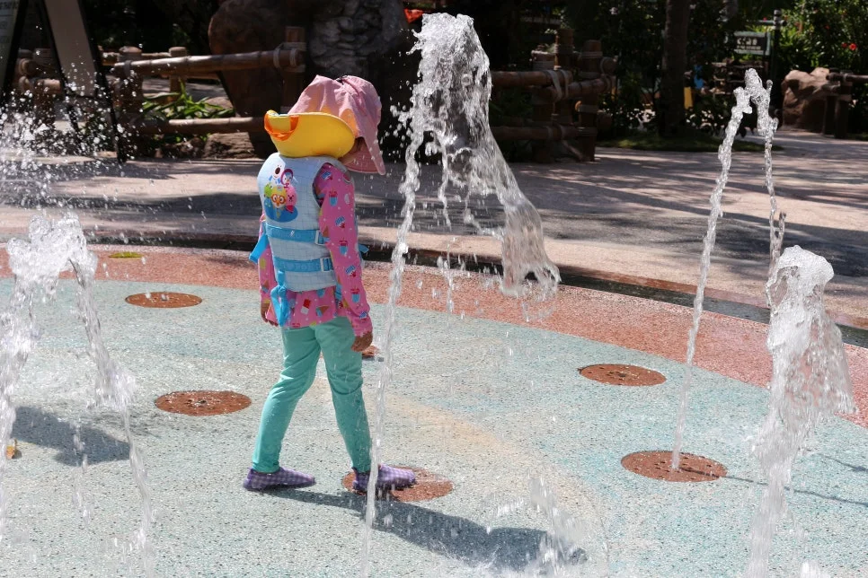 %EA%BE%B8%EB%AF%B8%EA%B8%B0IMG_7477.JPG?type=w966