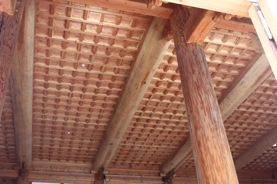 %EA%BE%B8%EB%AF%B8%EA%B8%B0IMG_6719.JPG?type=w966