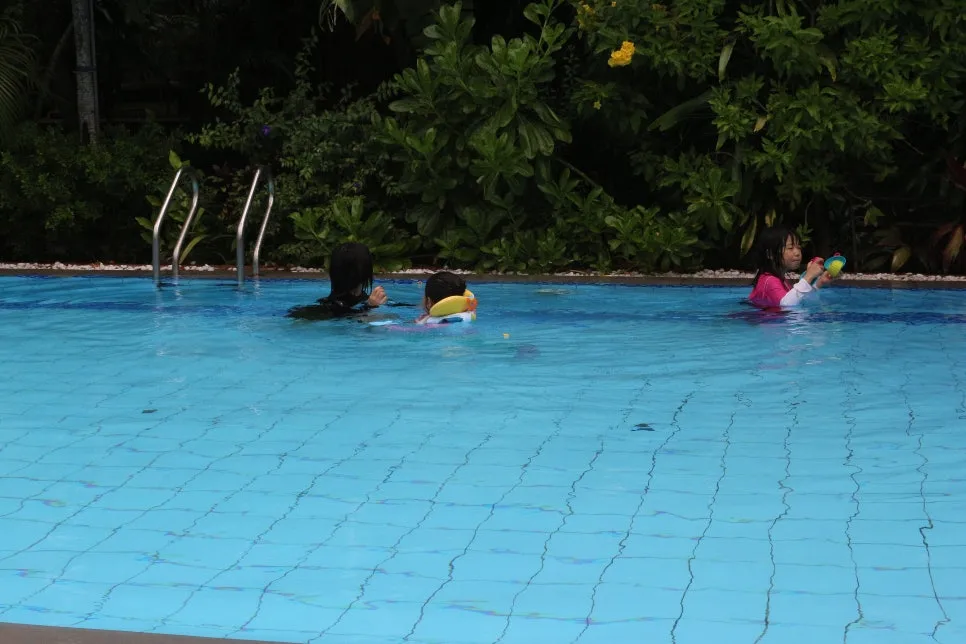 %EA%BE%B8%EB%AF%B8%EA%B8%B0IMG_7656.JPG?type=w966