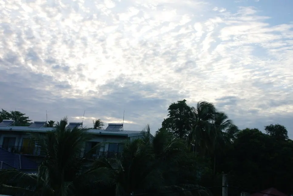 %EA%BE%B8%EB%AF%B8%EA%B8%B0SAM_0902.JPG?type=w966