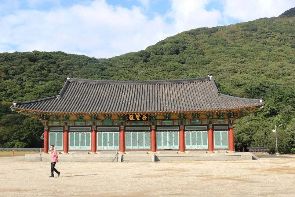 %EA%BE%B8%EB%AF%B8%EA%B8%B0IMG_6713.JPG?type=w966