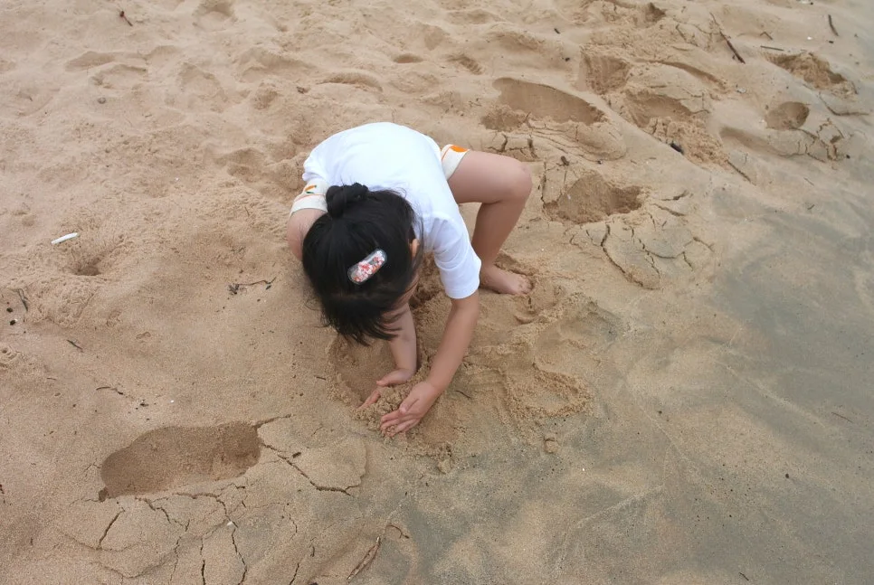 %EA%BE%B8%EB%AF%B8%EA%B8%B0SAM_0823.JPG?type=w966