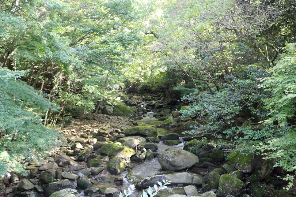 %EA%BE%B8%EB%AF%B8%EA%B8%B0IMG_6688.JPG?type=w966