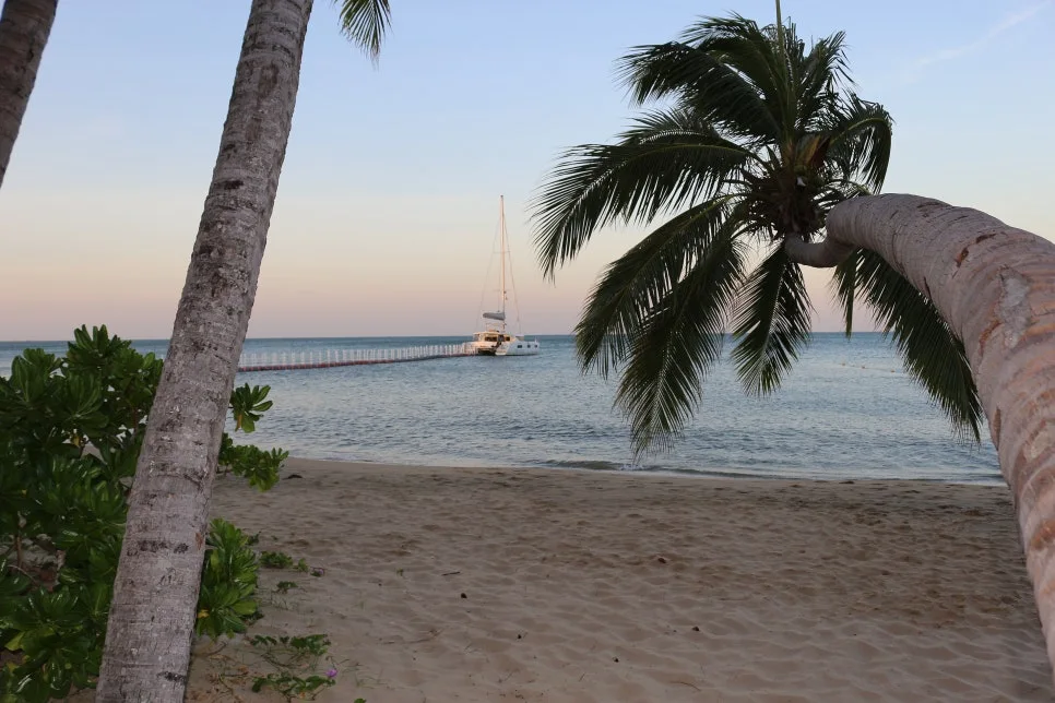 %EA%BE%B8%EB%AF%B8%EA%B8%B0IMG_7377.JPG?type=w966