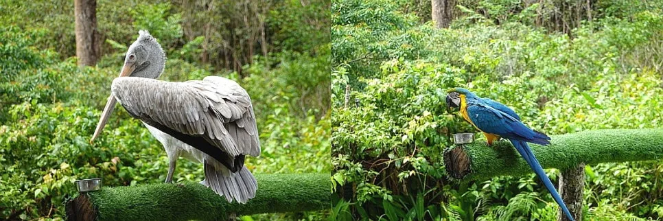 %EA%BE%B8%EB%AF%B8%EA%B8%B0%EA%BE%B8%EB%AF%B8%EA%B8%B016934577324vpe5u-side.jpg?type=w966