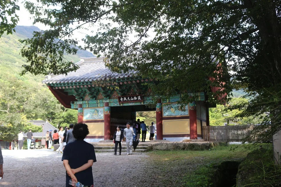 %EA%BE%B8%EB%AF%B8%EA%B8%B0IMG_6689.JPG?type=w966