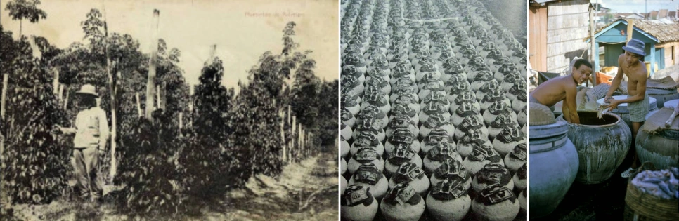 A-pepper-plantation-side.png?type=w966