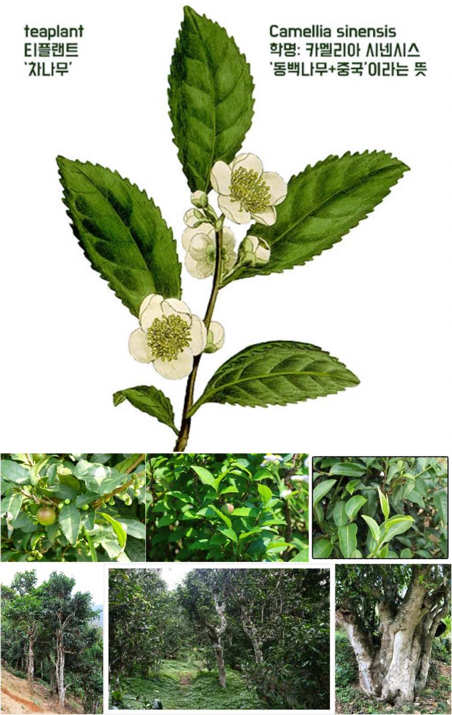 %EB%8B%A4%EC%9A%B4%EB%A1%9C%EB%93%9C_(2)-down.png?type=w966