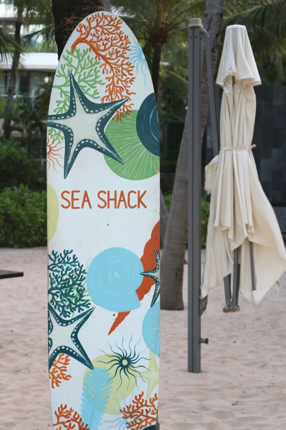 %EA%BE%B8%EB%AF%B8%EA%B8%B0IMG_7386.JPG?type=w966