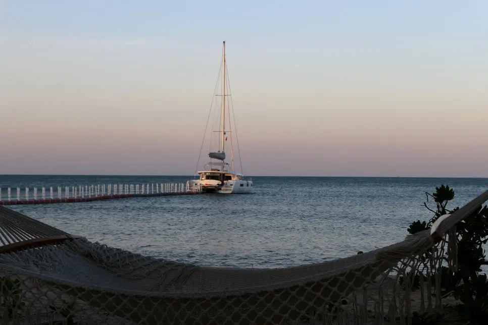 %EA%BE%B8%EB%AF%B8%EA%B8%B0IMG_7379.JPG?type=w966