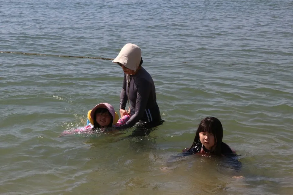 %EA%BE%B8%EB%AF%B8%EA%B8%B0IMG_7336.JPG?type=w966