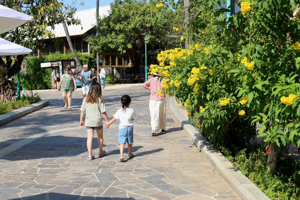 %EA%BE%B8%EB%AF%B8%EA%B8%B0IMG_7525.JPG?type=w966