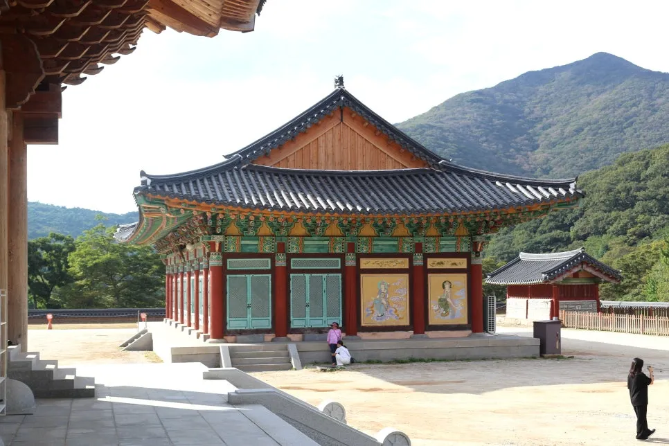 %EA%BE%B8%EB%AF%B8%EA%B8%B0IMG_6725.JPG?type=w966