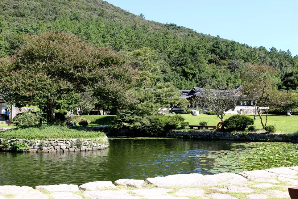 %EA%BE%B8%EB%AF%B8%EA%B8%B0IMG_7075.JPG?type=w966