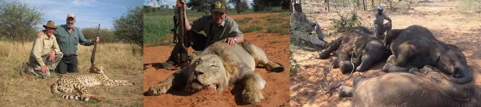 %EA%BE%B8%EB%AF%B8%EA%B8%B0%EA%BE%B8%EB%AF%B8%EA%B8%B0%EB%8B%A4%EC%9A%B4%EB%A1%9C%EB%93%9C-side.jpg?type=w966