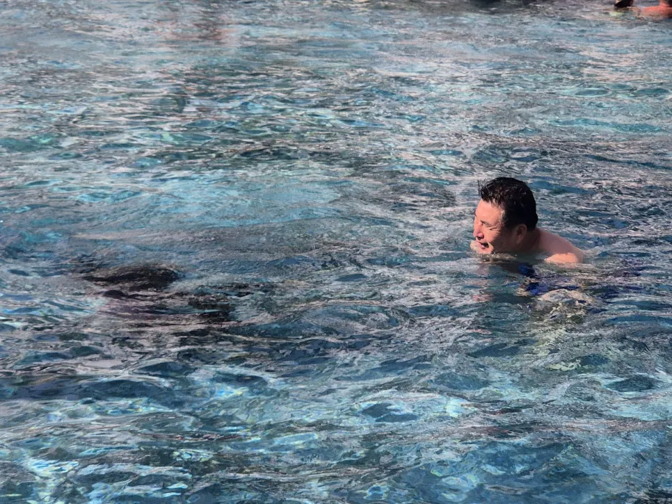 %EA%BE%B8%EB%AF%B8%EA%B8%B0KakaoTalk_20260116_142533391_16.jpg?type=w966