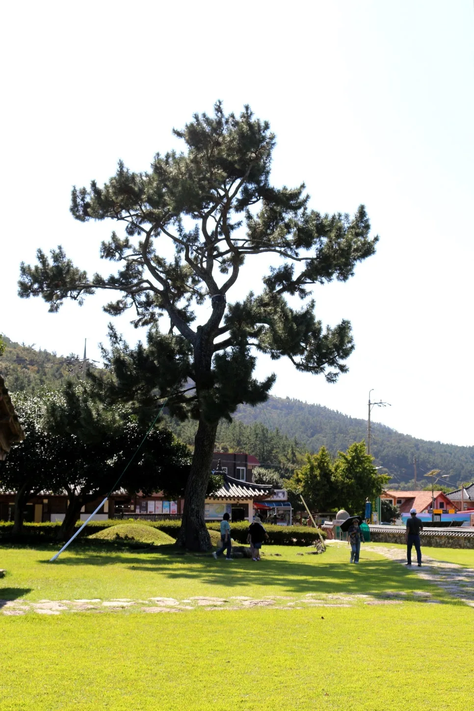 %EA%BE%B8%EB%AF%B8%EA%B8%B0IMG_7076.JPG?type=w966