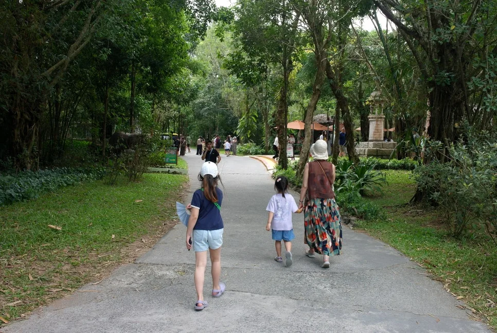 %EA%BE%B8%EB%AF%B8%EA%B8%B0SAM_0864.JPG?type=w966