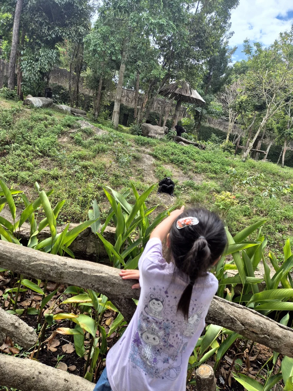 %EA%BE%B8%EB%AF%B8%EA%B8%B0KakaoTalk_20260125_170627420_12.jpg?type=w966