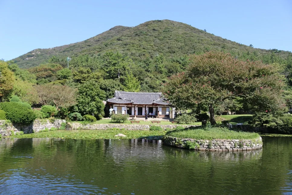 %EA%BE%B8%EB%AF%B8%EA%B8%B0IMG_7066.JPG?type=w966