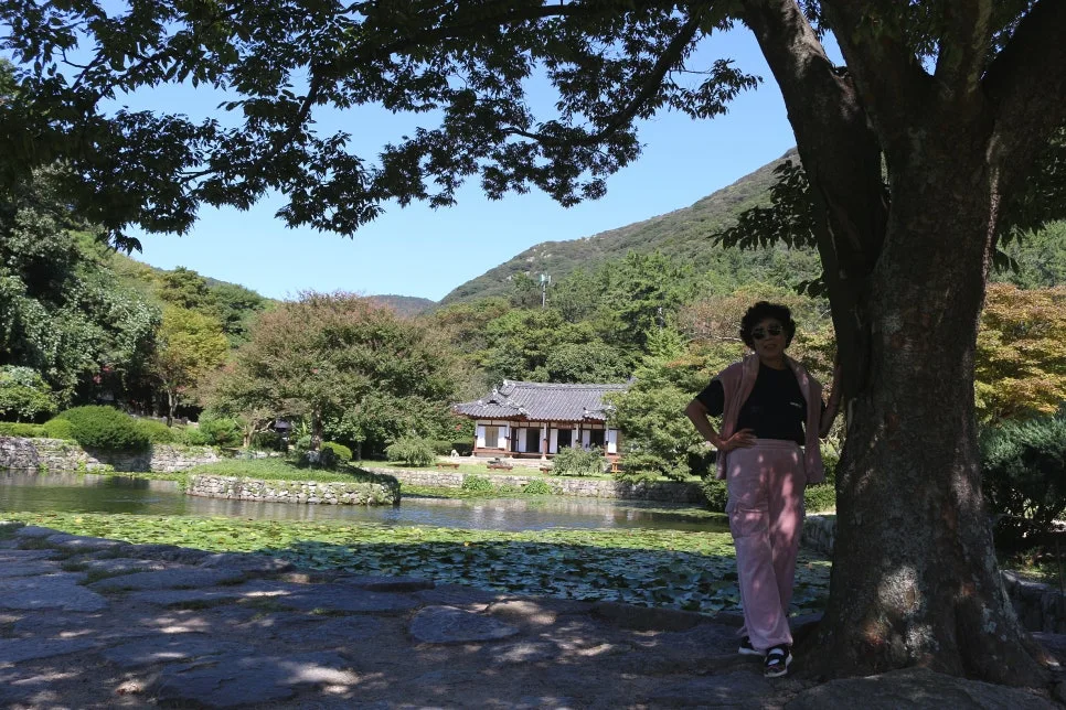 %EA%BE%B8%EB%AF%B8%EA%B8%B0IMG_7070.JPG?type=w966