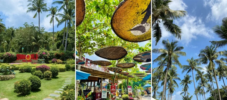 1mi3h424x97vt8iye1AFD_W_640_0_R5_Q80-side.jpg?type=w966