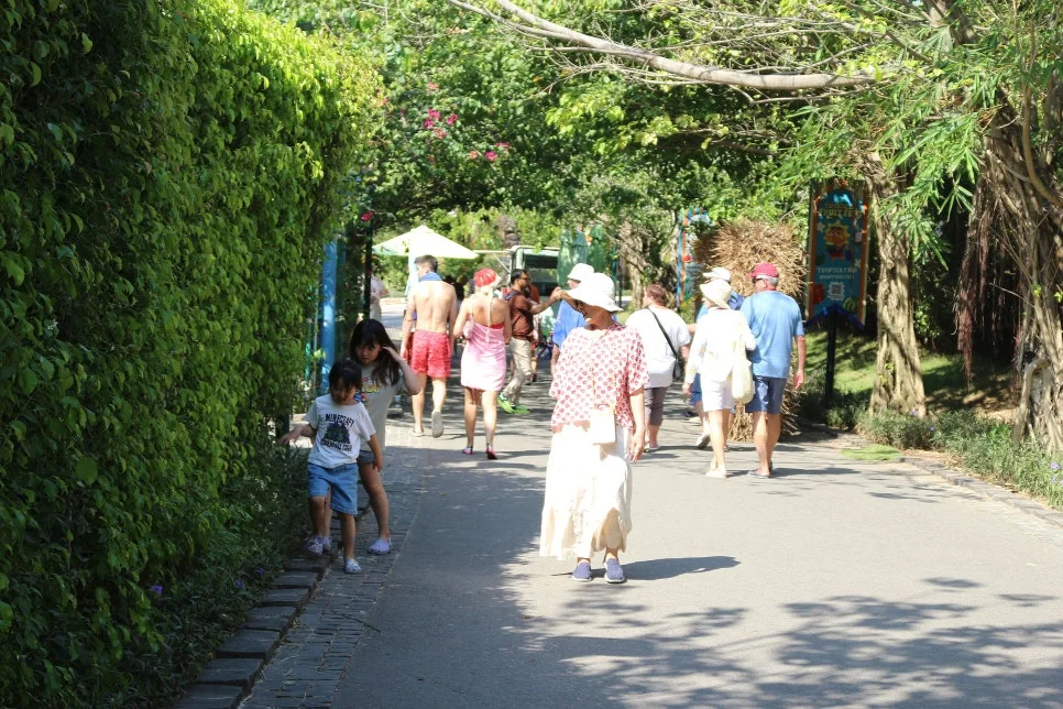 %EA%BE%B8%EB%AF%B8%EA%B8%B0IMG_7519.JPG?type=w966