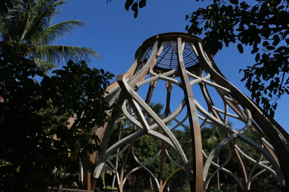 %EA%BE%B8%EB%AF%B8%EA%B8%B0IMG_7551.JPG?type=w966