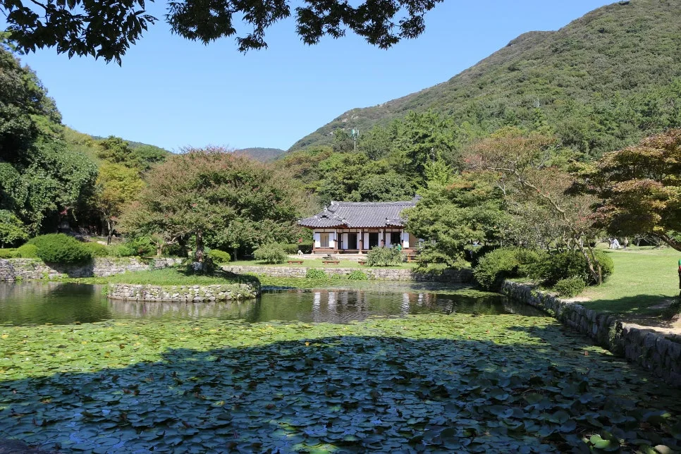 %EA%BE%B8%EB%AF%B8%EA%B8%B0IMG_7068.JPG?type=w966