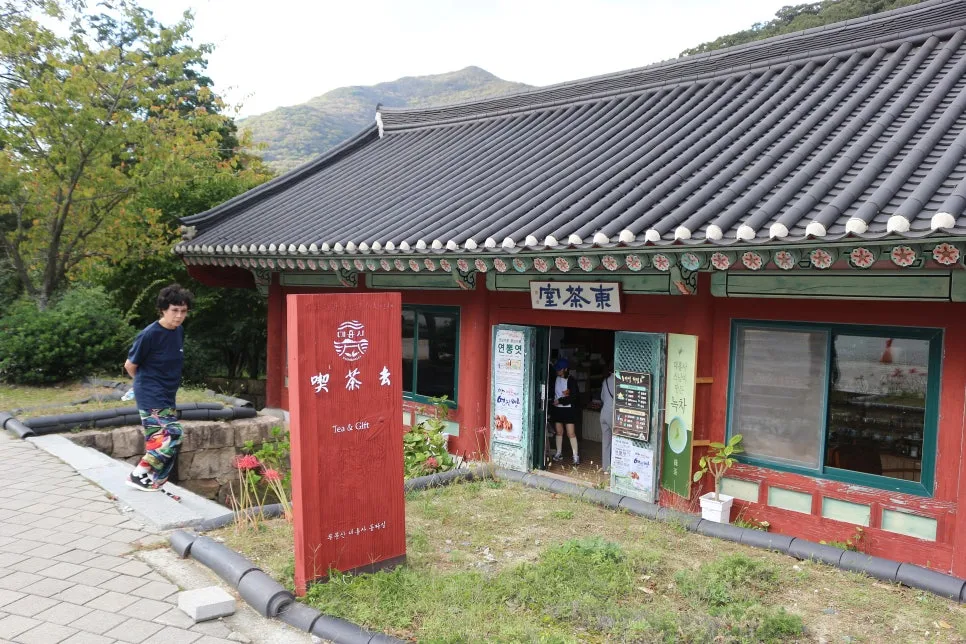 %EA%BE%B8%EB%AF%B8%EA%B8%B0IMG_6766.JPG?type=w966