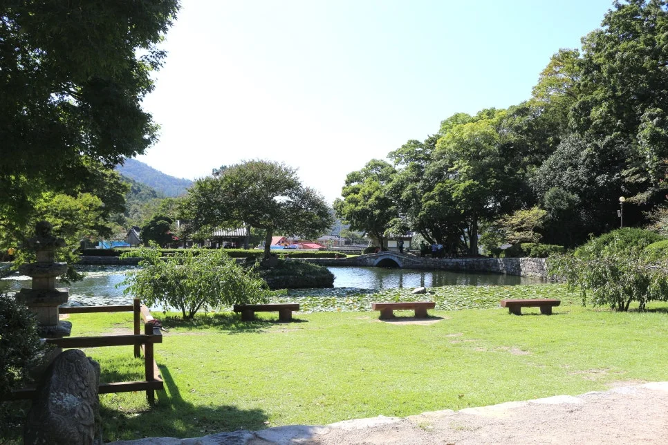 %EA%BE%B8%EB%AF%B8%EA%B8%B0IMG_7054.JPG?type=w966