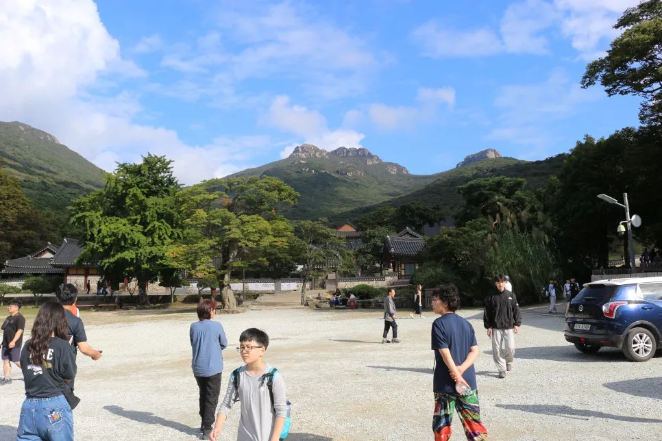 %EA%BE%B8%EB%AF%B8%EA%B8%B0IMG_6692.JPG?type=w966