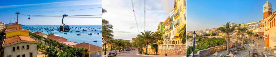 hon_thom-min-1-1-side.png?type=w966