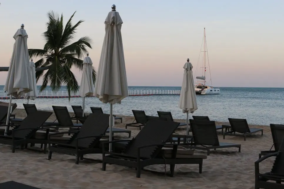 %EA%BE%B8%EB%AF%B8%EA%B8%B0IMG_7373.JPG?type=w966