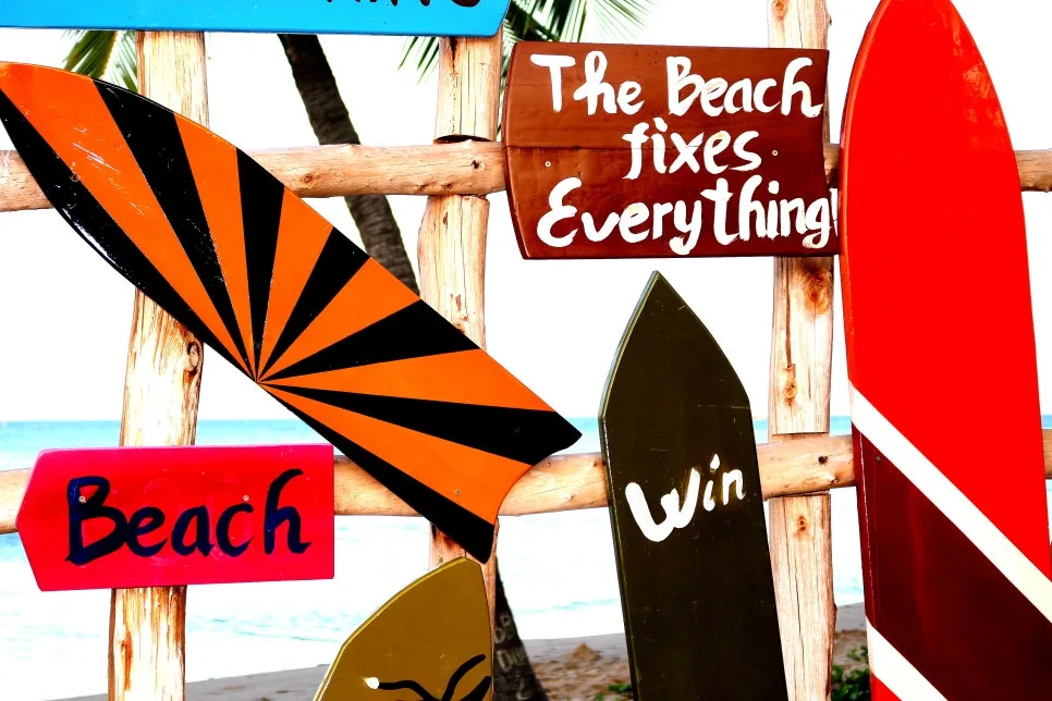 %EA%BE%B8%EB%AF%B8%EA%B8%B0IMG_7383.JPG?type=w966