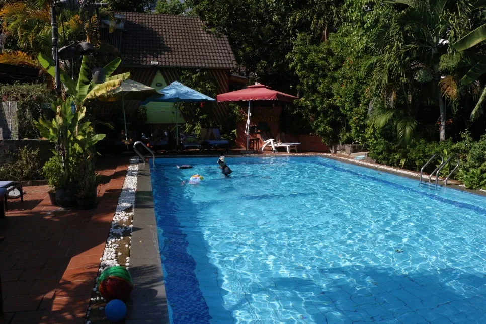 %EA%BE%B8%EB%AF%B8%EA%B8%B0IMG_7637.JPG?type=w966