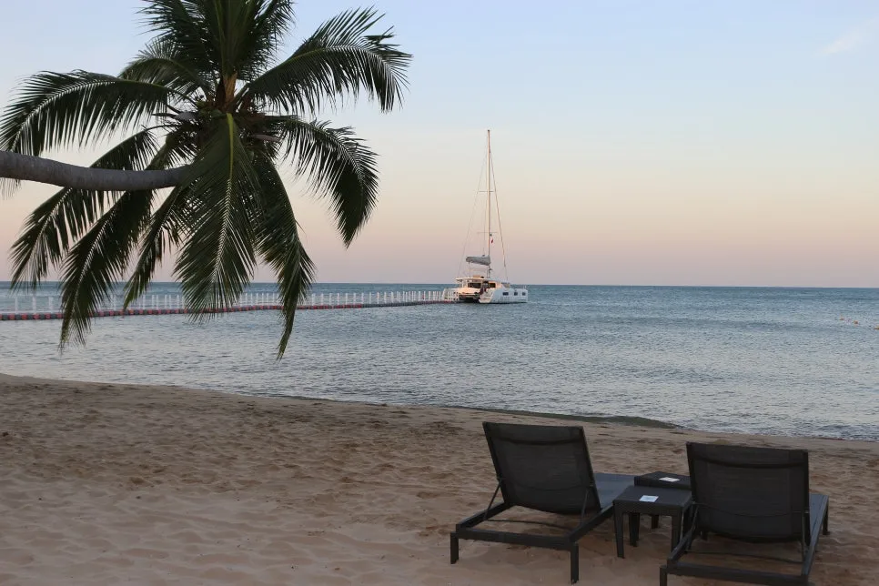 %EA%BE%B8%EB%AF%B8%EA%B8%B0IMG_7376.JPG?type=w966