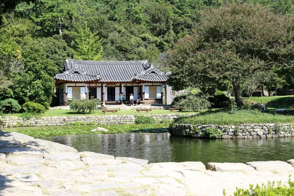 %EA%BE%B8%EB%AF%B8%EA%B8%B0IMG_7073.JPG?type=w966