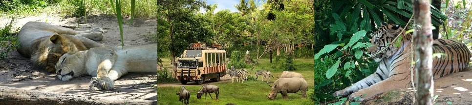 %EA%BE%B8%EB%AF%B8%EA%B8%B0%EA%BE%B8%EB%AF%B8%EA%B8%B01693457866dm3nhc-side.jpg?type=w966