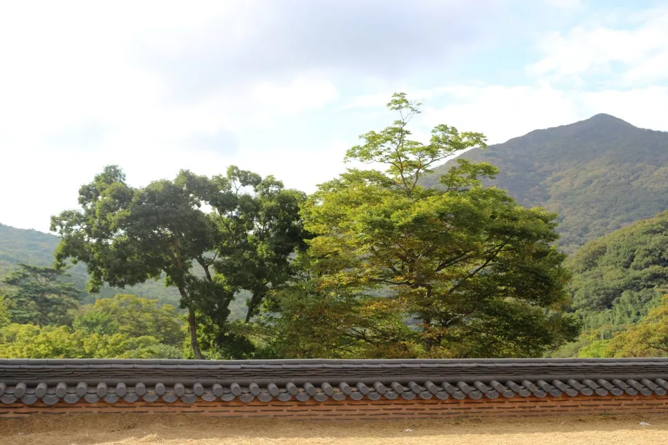 %EA%BE%B8%EB%AF%B8%EA%B8%B0IMG_6729.JPG?type=w966