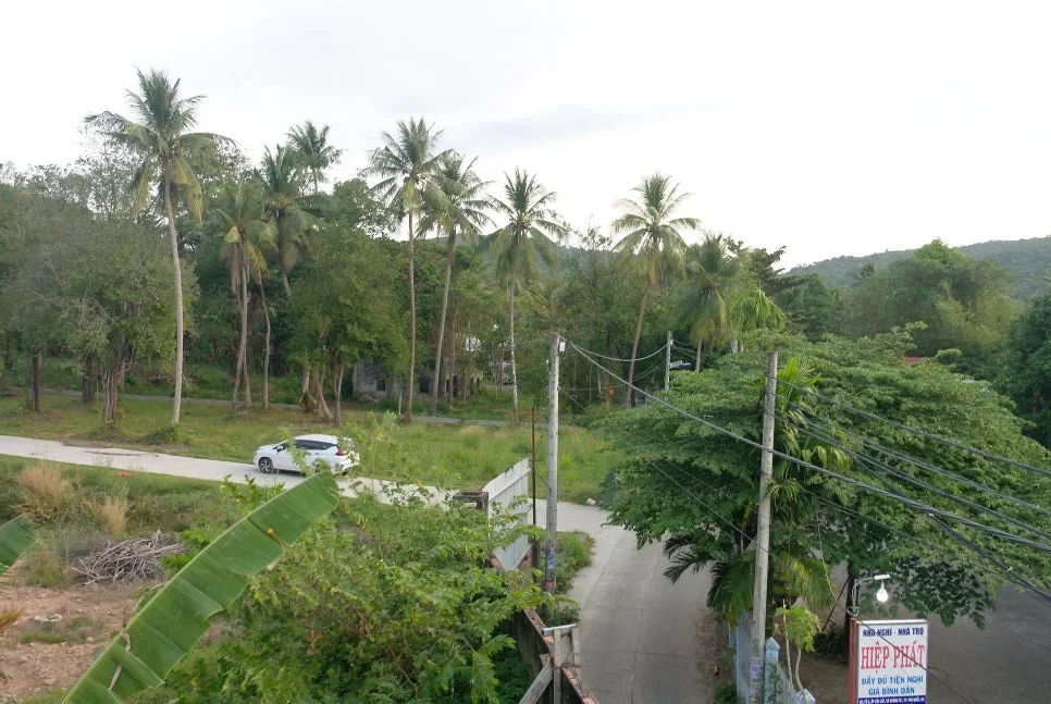 %EA%BE%B8%EB%AF%B8%EA%B8%B0SAM_0903.JPG?type=w966