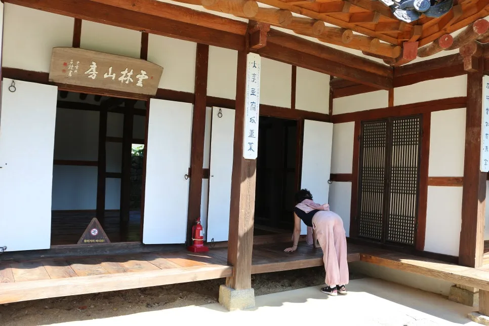 %EA%BE%B8%EB%AF%B8%EA%B8%B0IMG_7056.JPG?type=w966