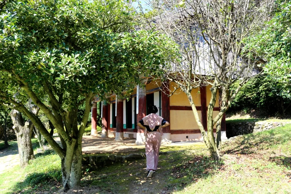 %EA%BE%B8%EB%AF%B8%EA%B8%B0IMG_7045.JPG?type=w966