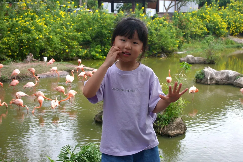 %EA%BE%B8%EB%AF%B8%EA%B8%B0SAM_0856.JPG?type=w966