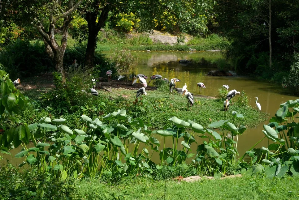 %EA%BE%B8%EB%AF%B8%EA%B8%B0SAM_0866.JPG?type=w966