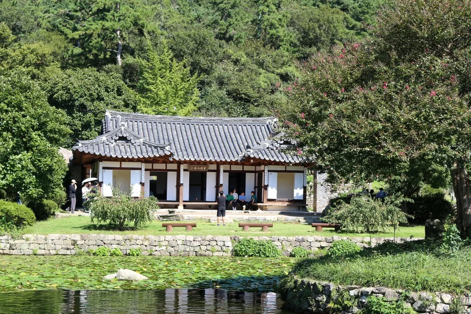 %EA%BE%B8%EB%AF%B8%EA%B8%B0IMG_7067.JPG?type=w966