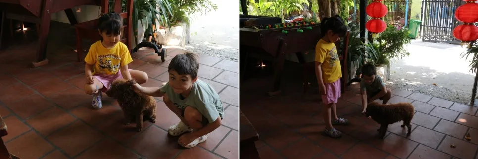 %EA%BE%B8%EB%AF%B8%EA%B8%B0IMG_7623-side.JPG?type=w966